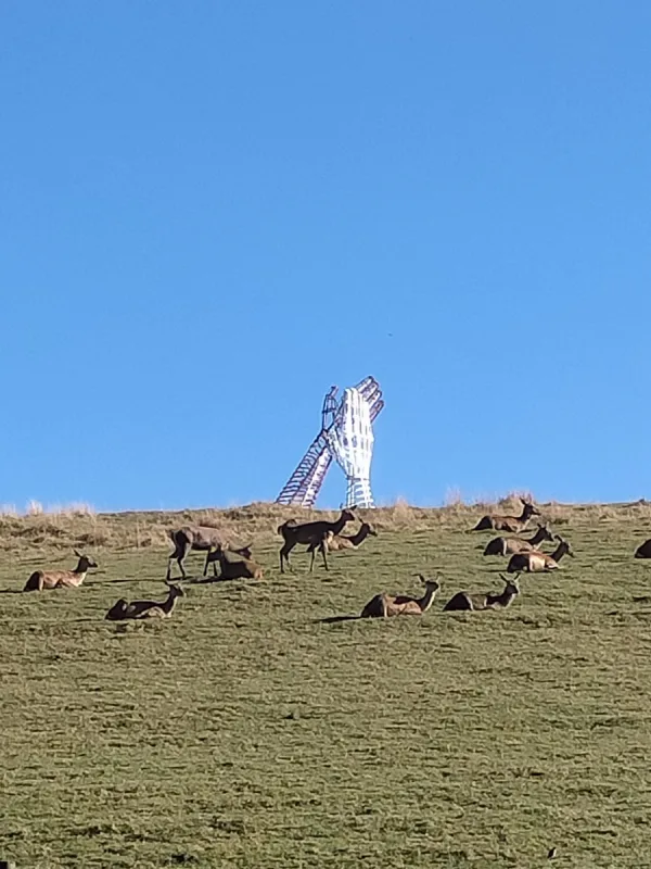 Aplauso / 
Escultura de hierro soldado